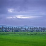 Top 3 pearling experiences in Bahrain for the autumn